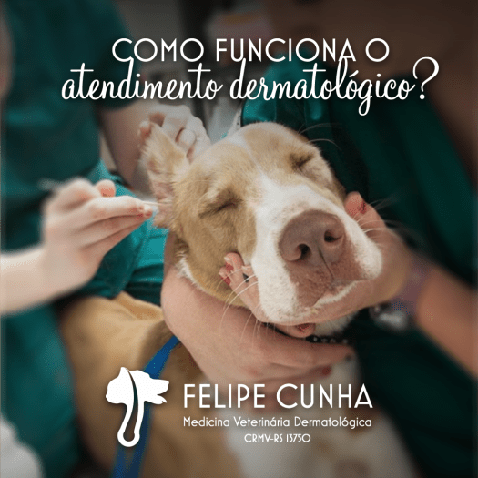 atendimentocomofunciona