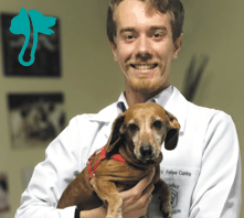 Foto-pro-site-perfil