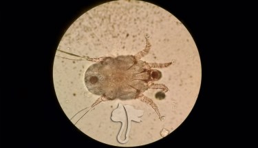 IMG_20160530_163719584