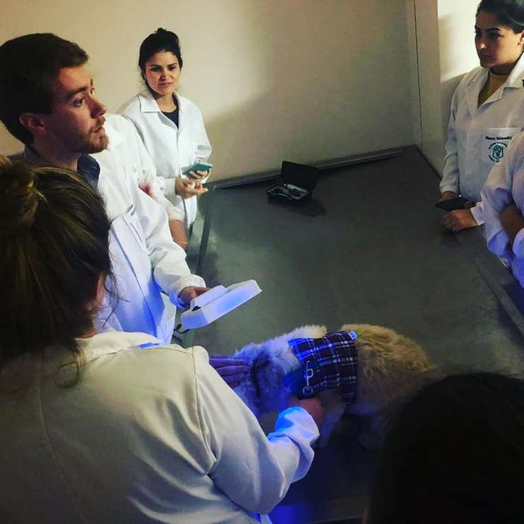 69827711_2163756563923722_6463817461404794880_n