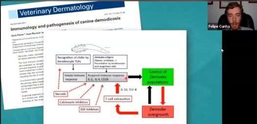 Visualizações palestra