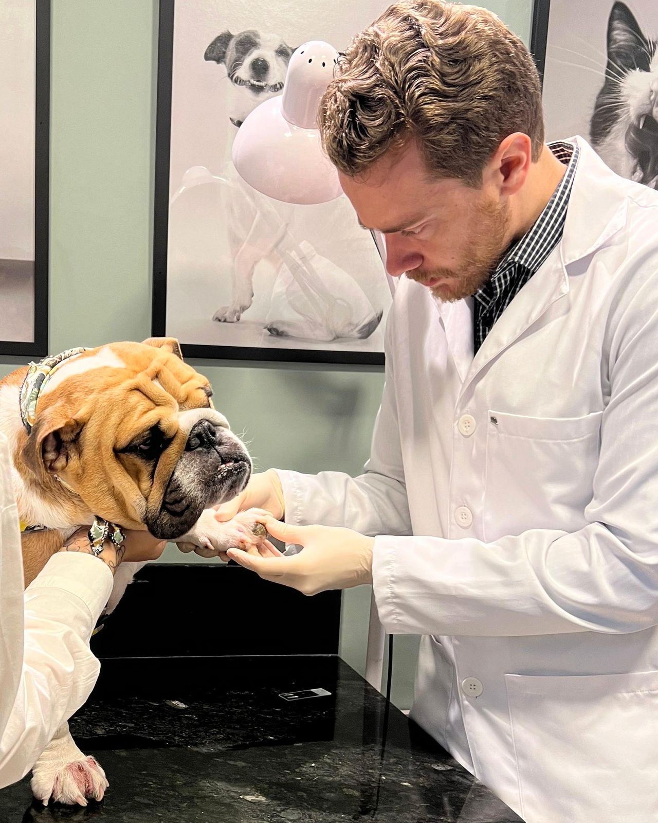 Imagem do WhatsApp de 2024-06-23 à(s) 20.50.11_d1ca8463