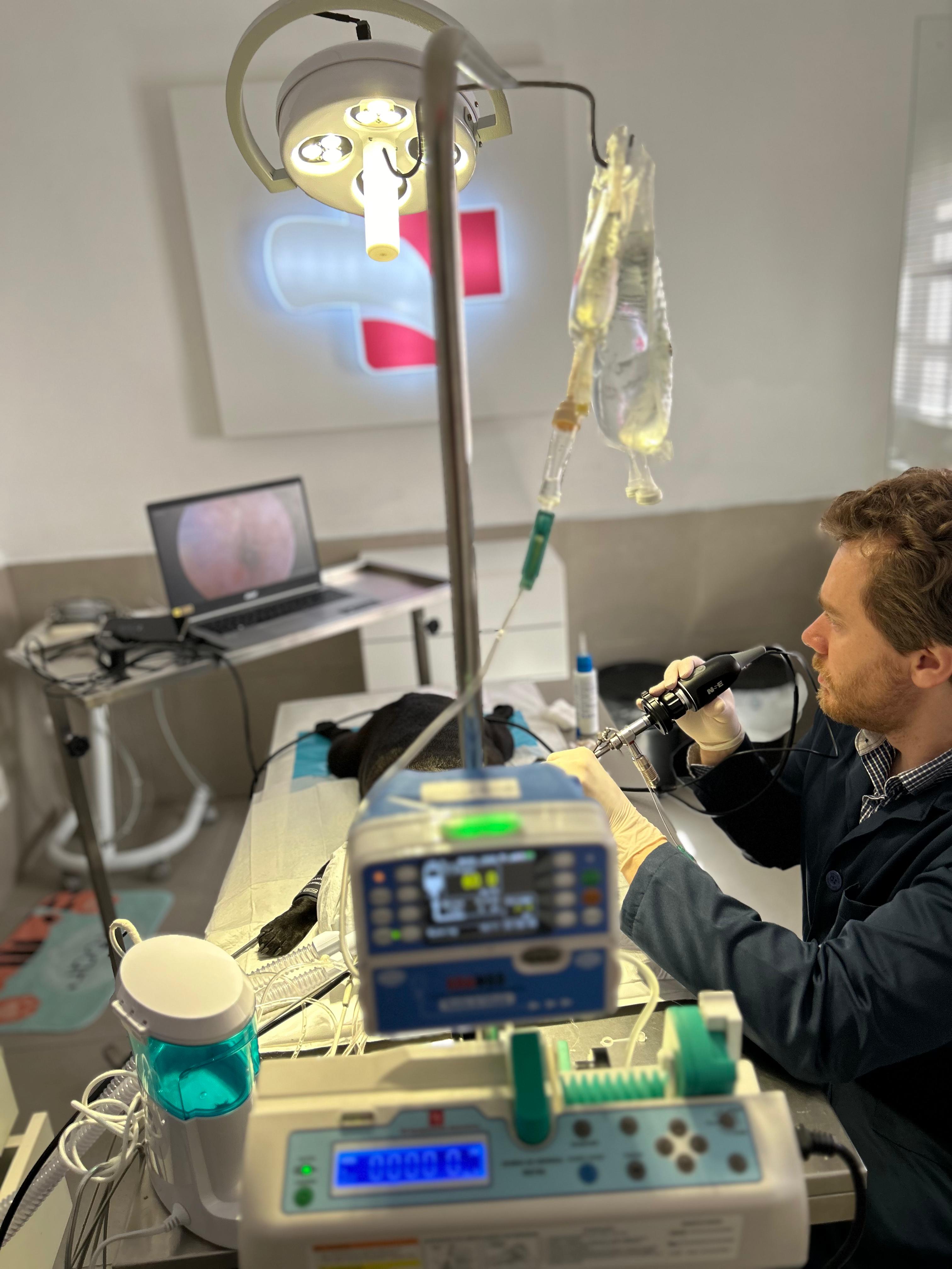 Imagem do WhatsApp de 2024-06-23 à(s) 20.57.17_9e816ad3